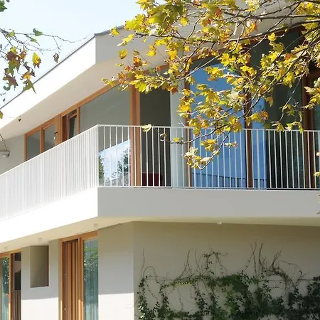 20dimare 切塞纳蒂科