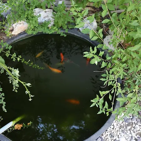 20dimare Pensión Cesenatico