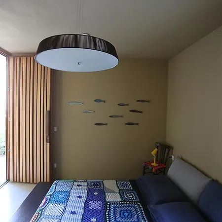 Casa de hóspedes 20dimare 3*