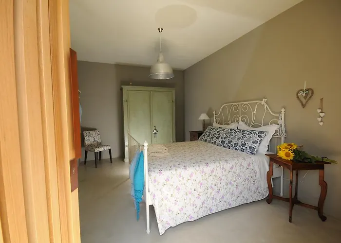 20dimare تْشيزيناتيكو