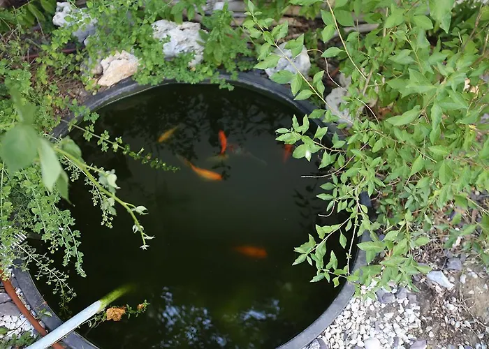 20dimare Pensjonat Cesenatico